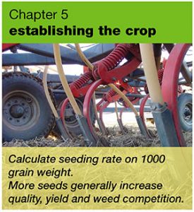 Establishing the crop